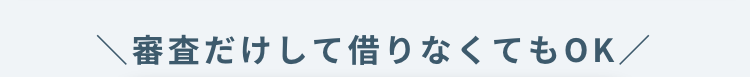 審査だけして借りなくてもOK/