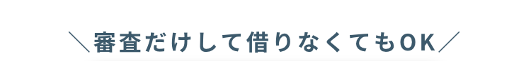 審査だけして借りなくてもOK/
